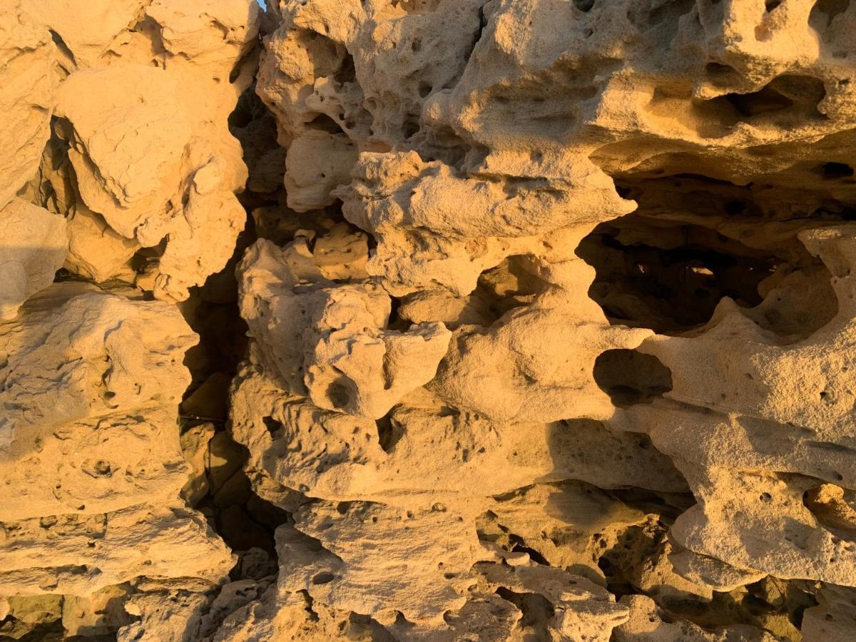 Dar Lola Djerba Bed & Breakfast Houmt Souk  Eksteriør bilde