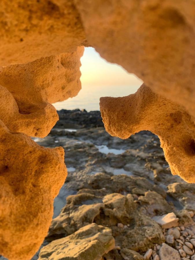 Dar Lola Djerba Bed & Breakfast Houmt Souk  Eksteriør bilde